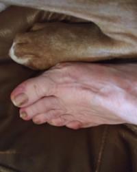 Foto bokep HD Me and my dogs feet kualitas tinggi
